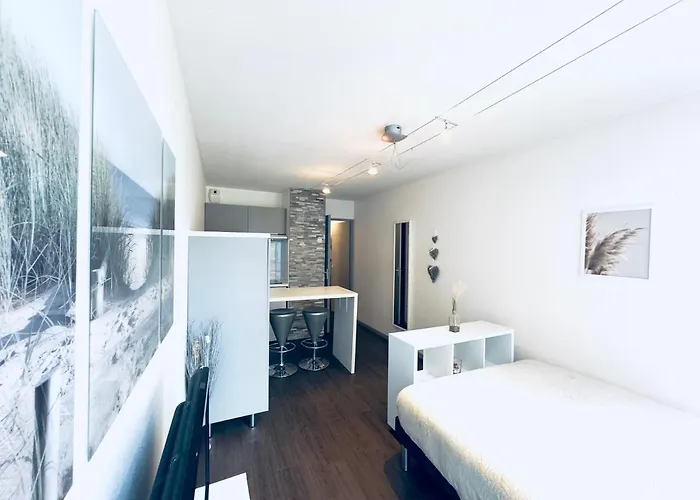 *le Cityzen*15min Du Centre A Pied+parking Gratuit